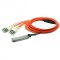 F5-UPG-QSFP+-10M